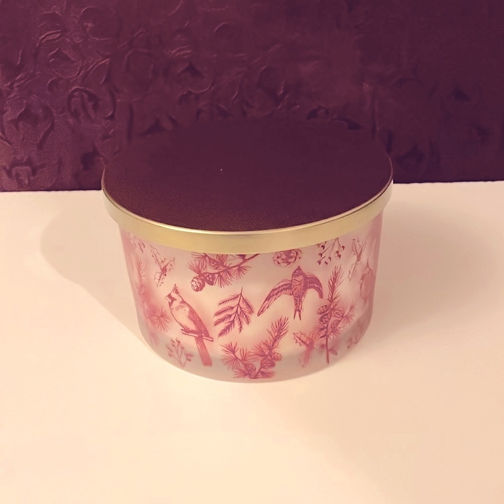 NWT 14 OZ Candied Cranberries 4 wick candle.